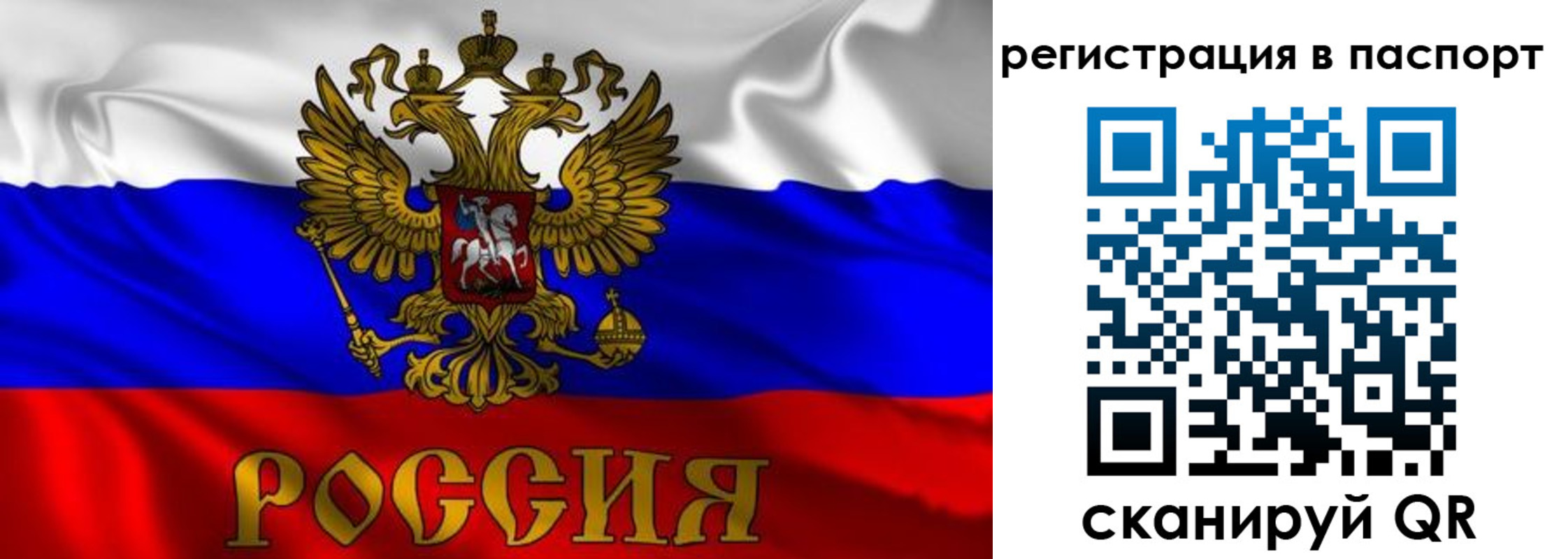 найти адрес прописки в Красногорске